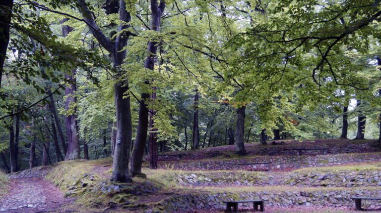 Park Bażantarnia
