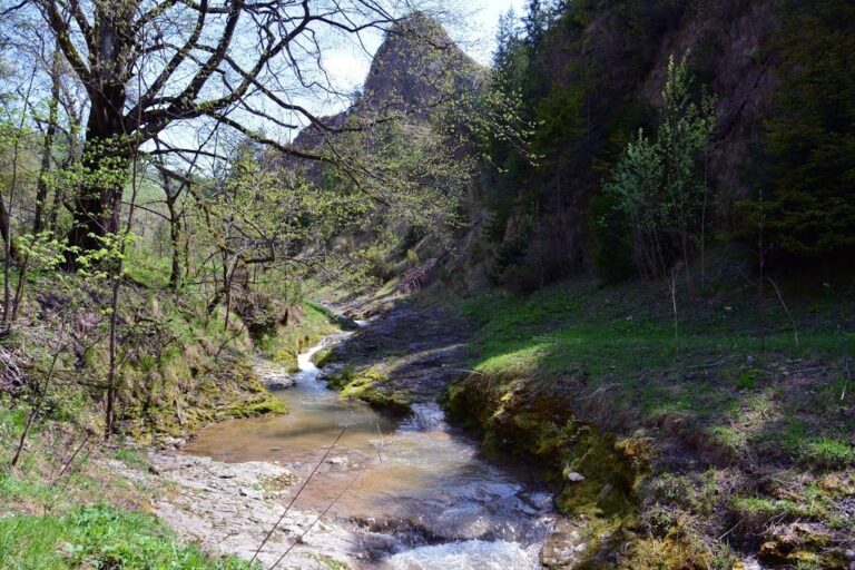 Rezerwat Biała Woda w Pieninach