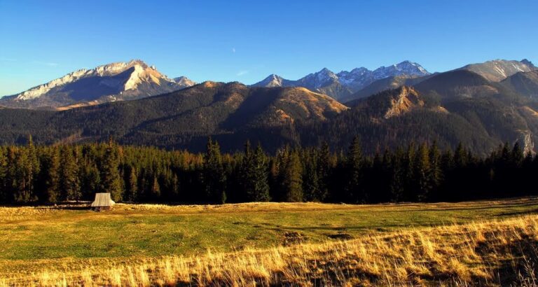Gęsia Szyja (1489 m n.p.m.)