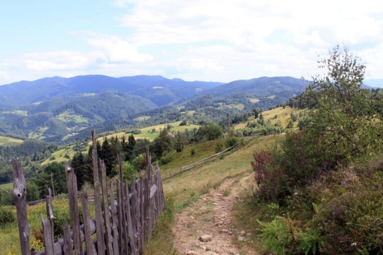 Jaworzynka  (936 m n.p.m.)