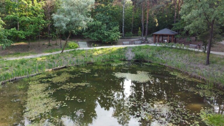 Kacze Doły – Staw Kobyłka