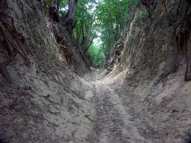 Wąwóz Królowej Jadwigi