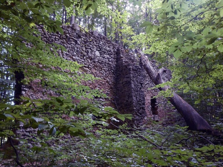 Rezerwat Przyrody Ostra Góra na Jurze