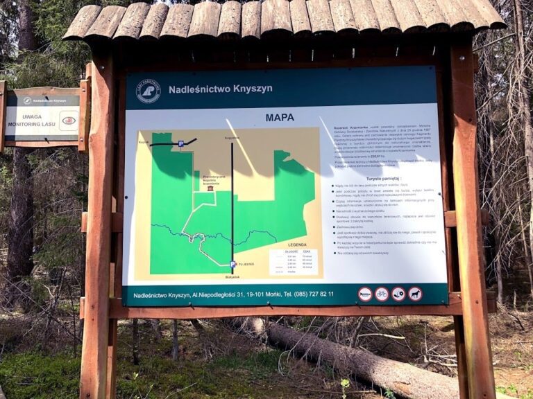 Rezerwat Krzemianka w Puszczy Knyszyńskiej
