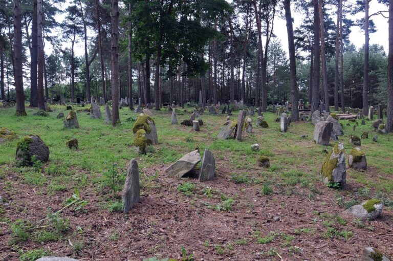 Cmentarz muzułmański w Kruszynianach