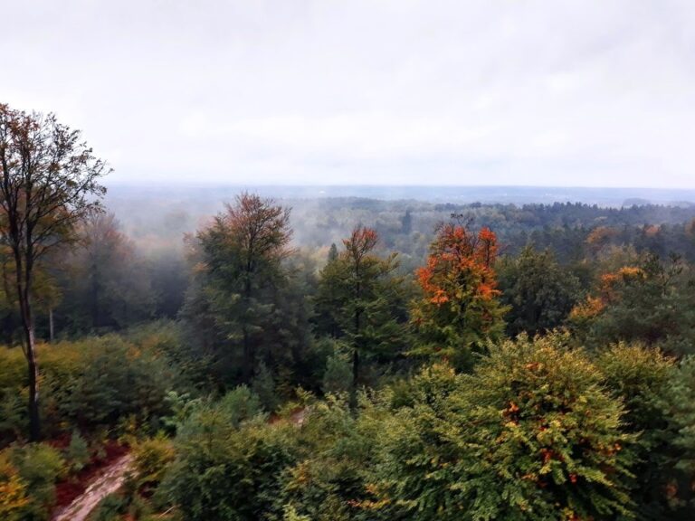 Wieża Widokowa „Wieża Promnitza”