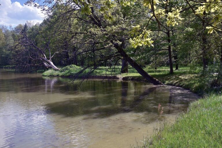 Dwór Ignacego Jana Paderewskiego w Kąśnej Dolnej