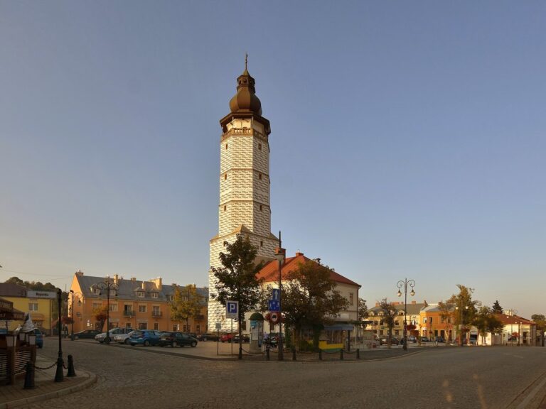 źródło zdjęcia: wikipedia.org; autor zdjęcia: Henryk Bielamowicz