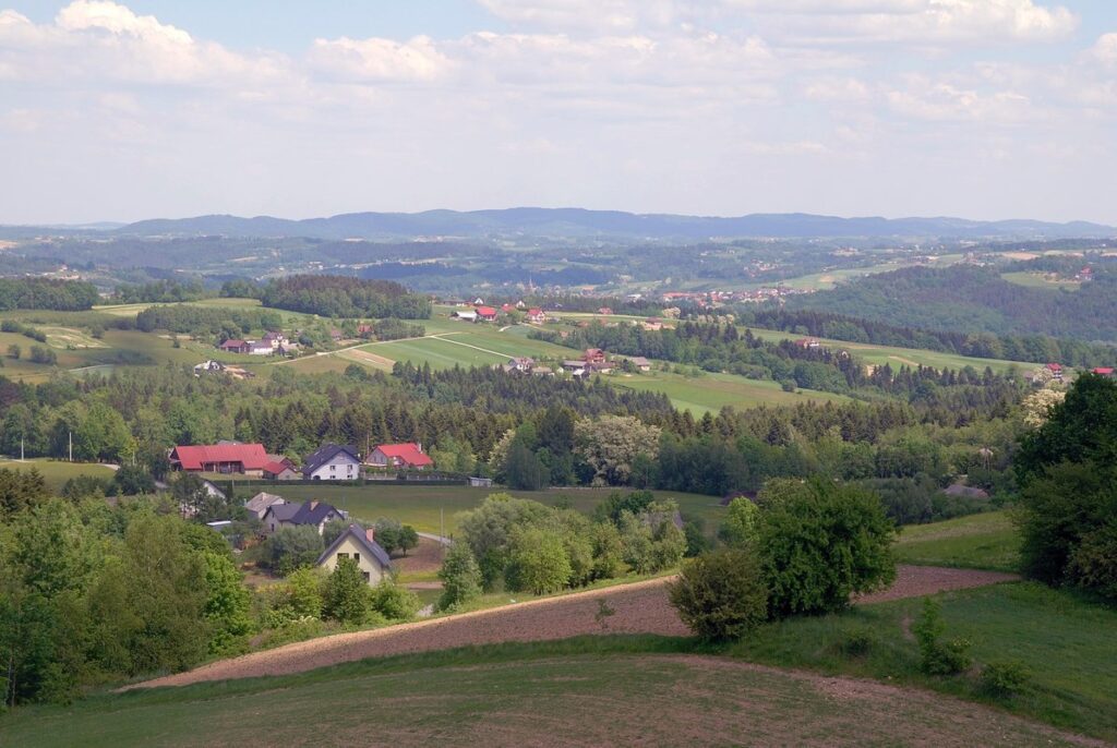Wieża widokowa w Bruśniku
