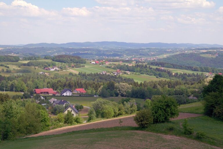 Wieża widokowa w Bruśniku