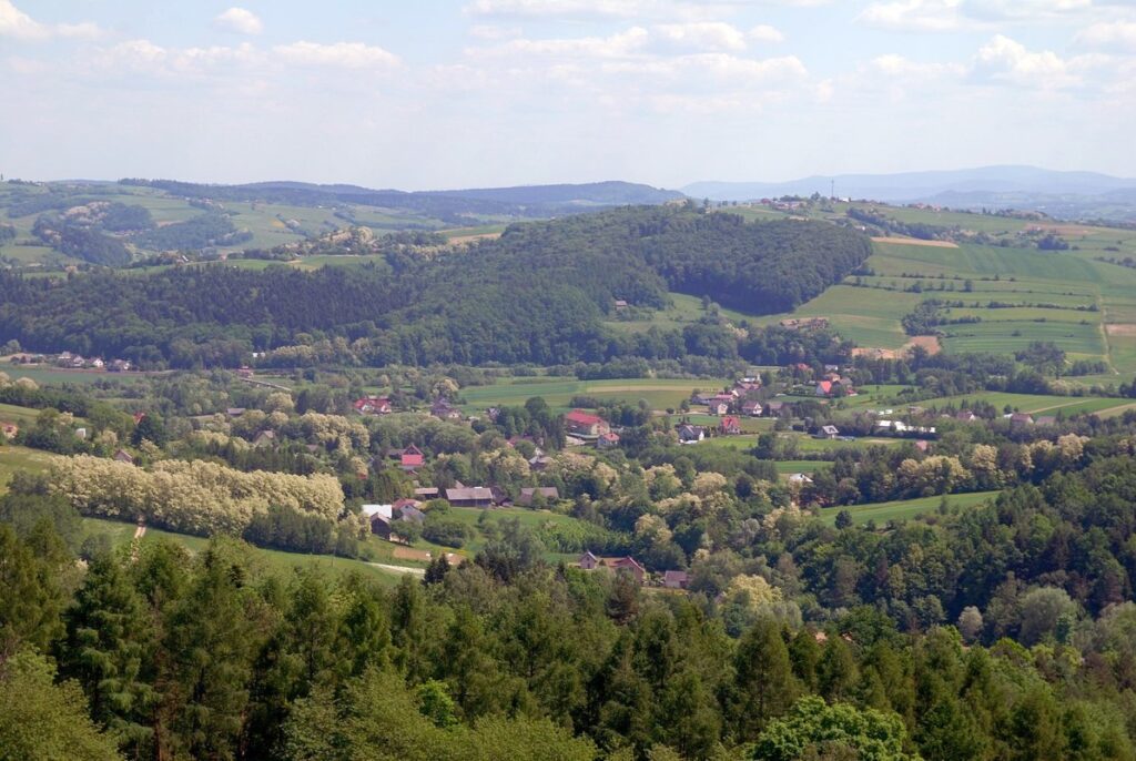 Wieża widokowa w Bruśniku