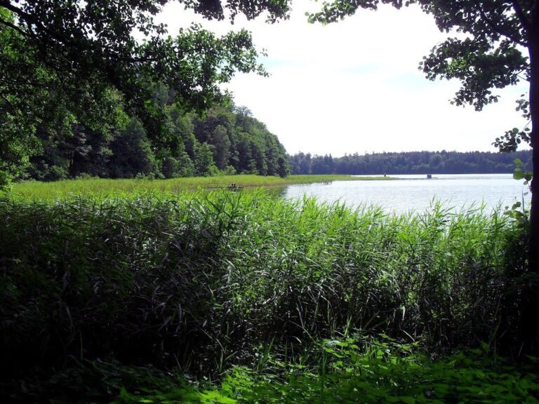 Plaża – Jezioro Studnica