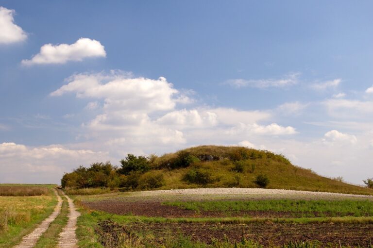 Rezerwat przyrody Przęślin