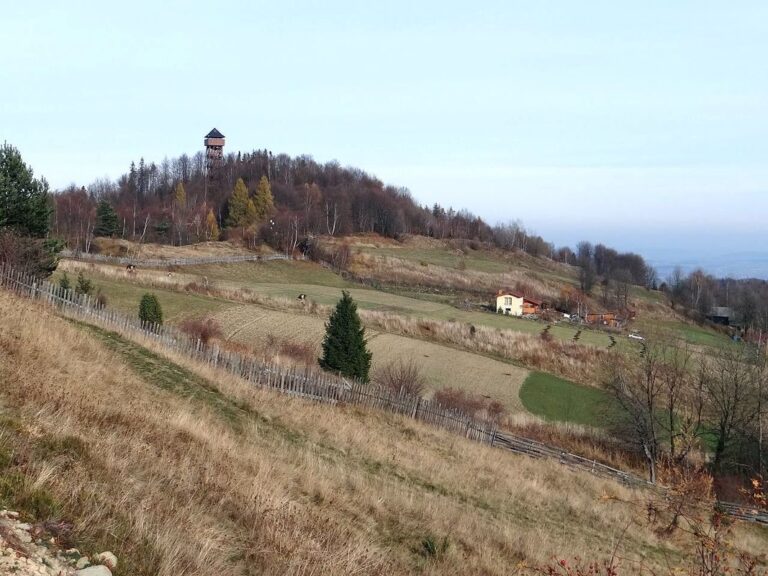 Wieża widokowa na Koziarzu (942 m n.p.m.)