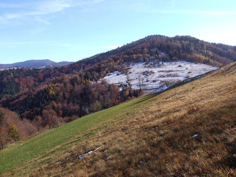 Dzwonkówka (982 m n.p.m.)