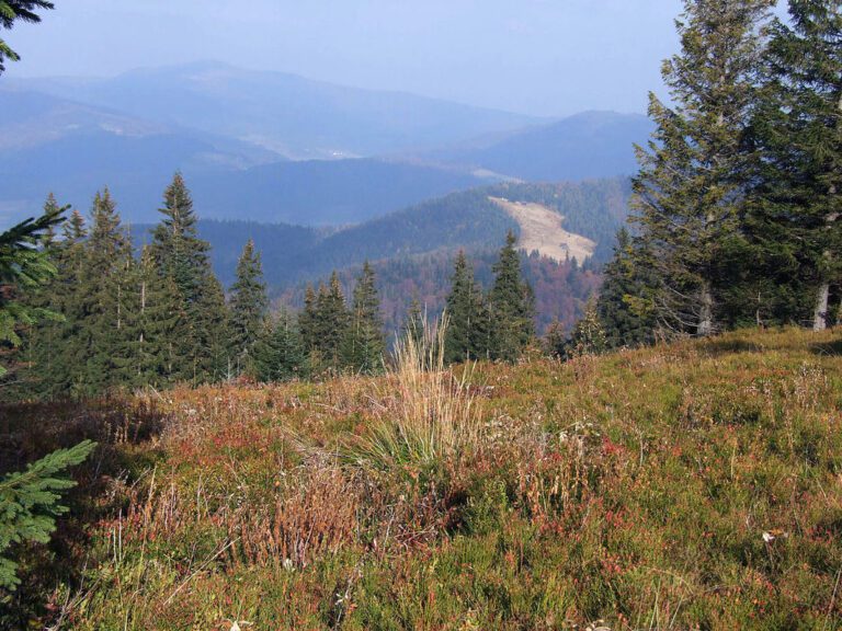 Kudłoń (1274 m n.p.m.)