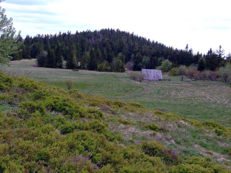 Lubań w Gorcach (1225 m n.p.m.)