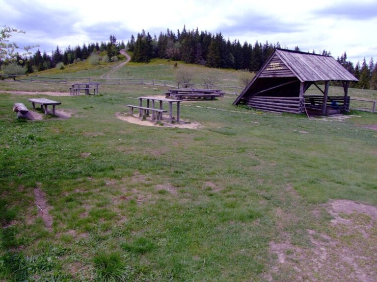 Lubań w Gorcach (1225 m n.p.m.)
