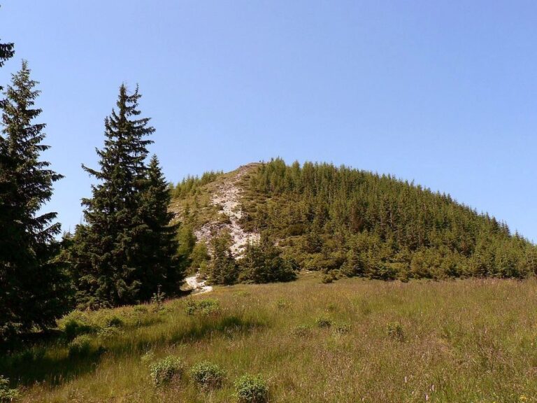 Kopieniec Wielki (1328 m n.p.m.)
