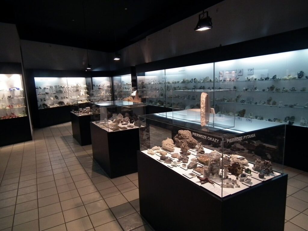 Muzeum Przyrodnicze ISEZ PAN