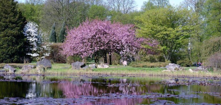 Ogród Botaniczny w Łodzi