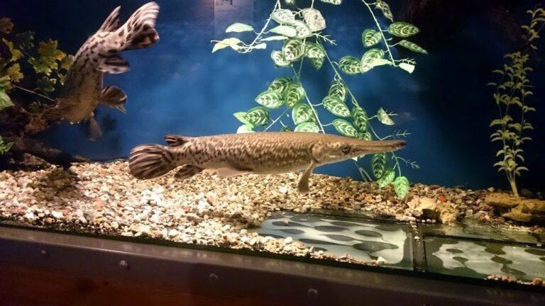 Oceanarium w Kołobrzegu