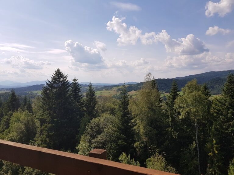 Wieża widokowa na Polczakówce