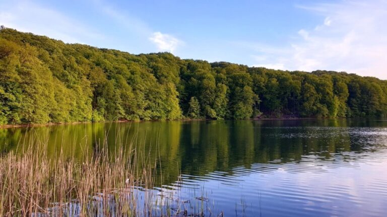 Rezerwat przyrody Jezioro Łubówko