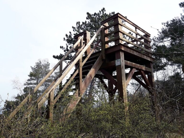 Wielbłądzi Garb