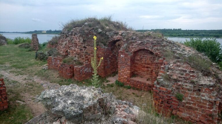 Ruiny Zamku w Bobrownikach