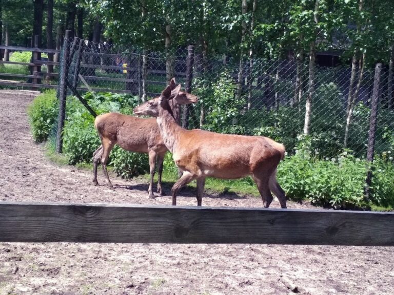 Park Konstytucji 3 Maja