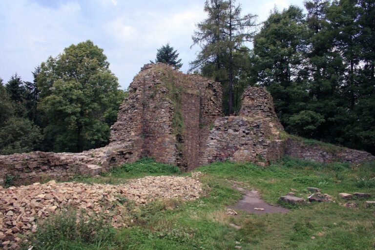 Ruiny zamku królewskiego