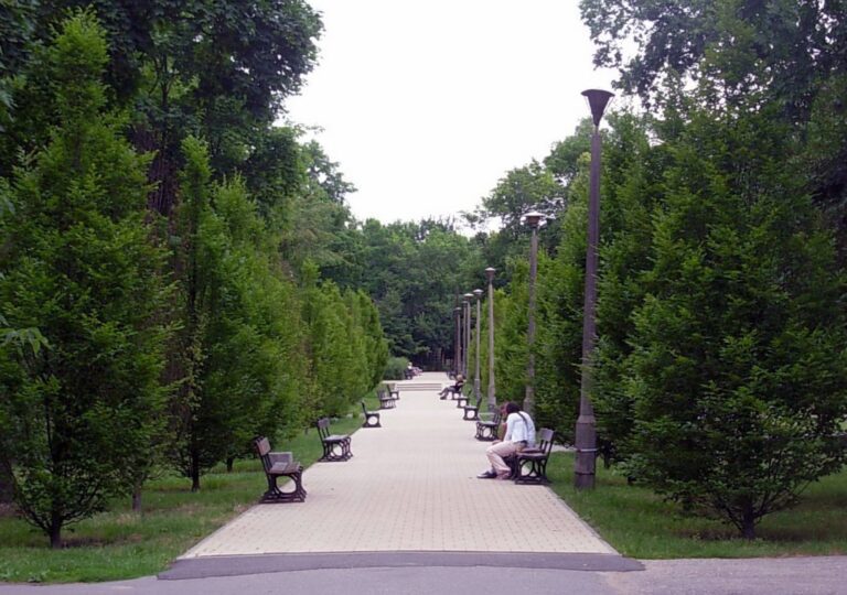 Park Ludowy im. Wincentego Witosa