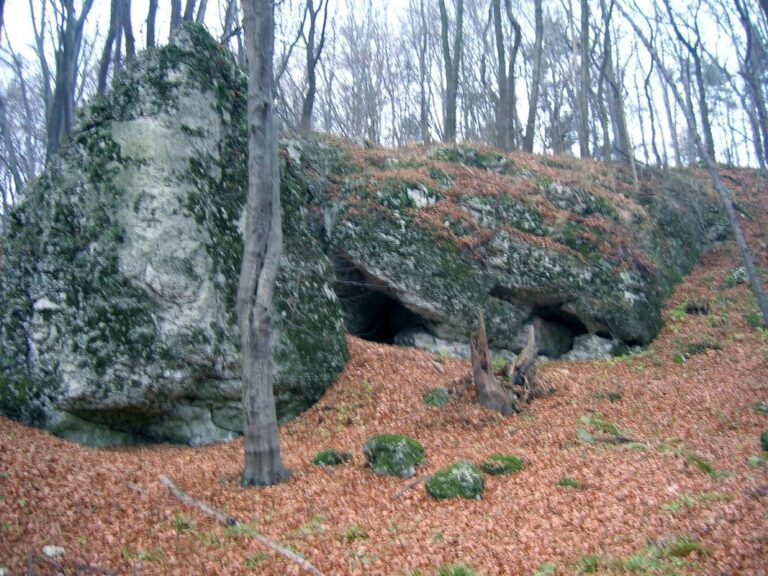 Rezerwat przyrody Dolina Eliaszówki