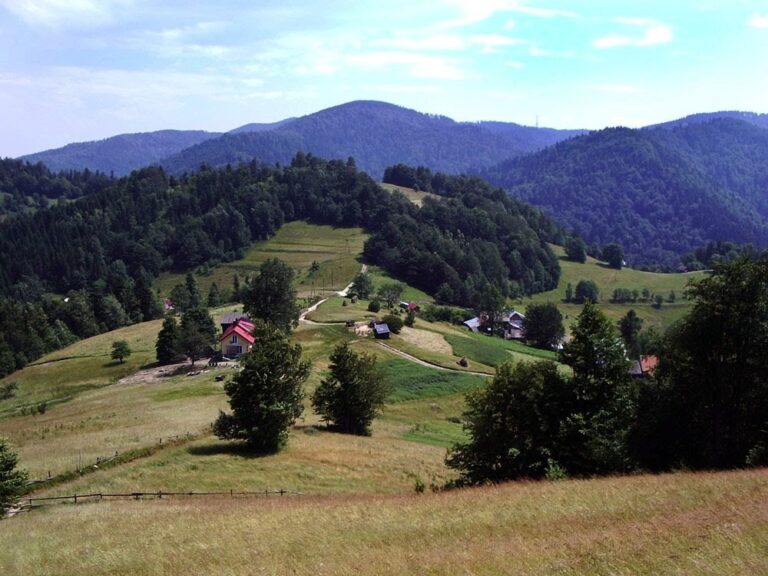 Dzwonkówka (982 m n.p.m.)