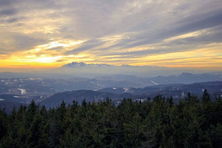 Wieża widokowa na Koziarzu (942 m n.p.m.)