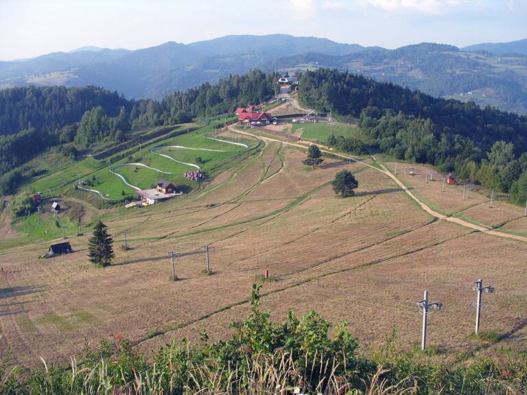 Palenica (722 m n.p.m.)