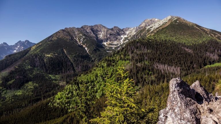 Gęsia Szyja (1489 m n.p.m.)