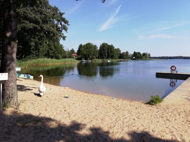 Jezioro Wulpińskie