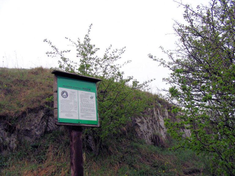 Rezerwat przyrody Przęślin