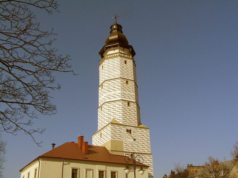źródło zdjęcia: wikipedia.org; autor zdjęcia: Wanda Cyculeńko
