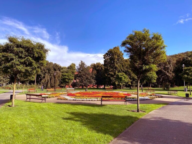 Park Miejski im. Aleksandra Majkowskiego w Wejherowie