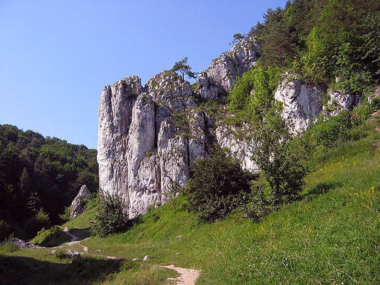 Brama Bolechowicka