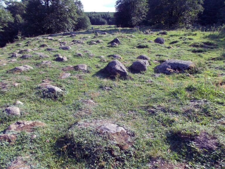 Głazowisko Bachanowo