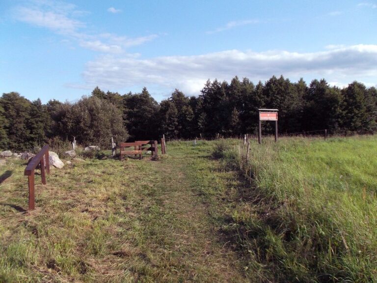 Głazowisko Bachanowo