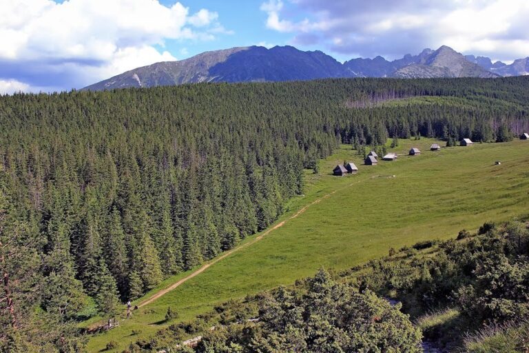 Kopieniec Wielki (1328 m n.p.m.)
