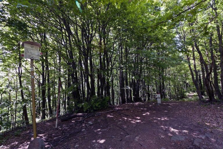 Lackowa (997 m n.p.m.)