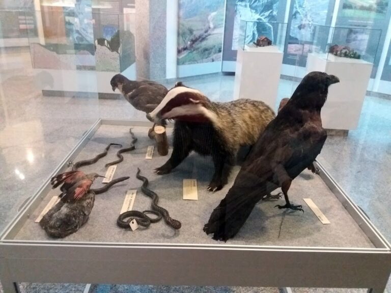 Muzeum Pienińskiego Parku Narodowego