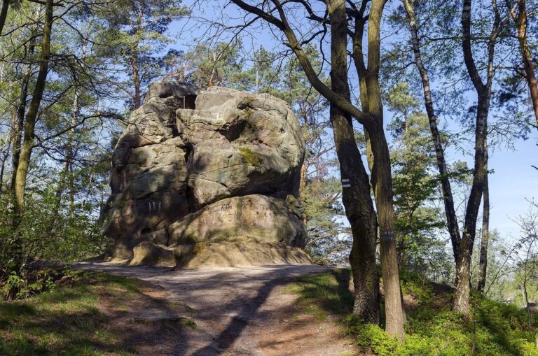 Skamieniałe Miasto w Ciężkowicach
