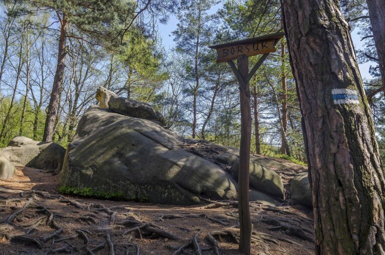 Skamieniałe Miasto w Ciężkowicach